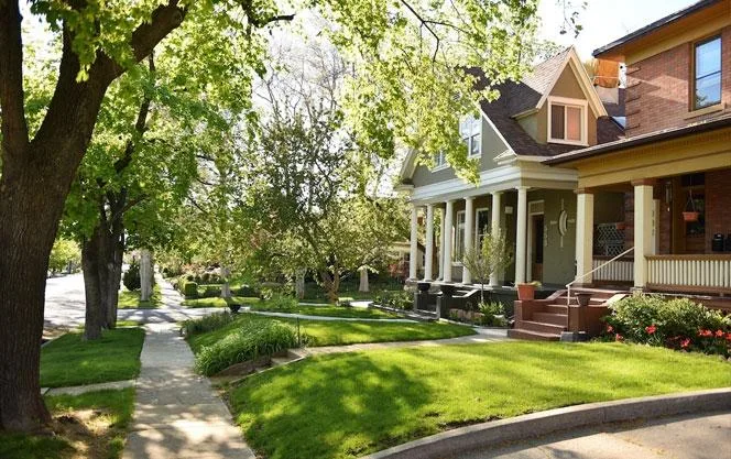 The Avenues